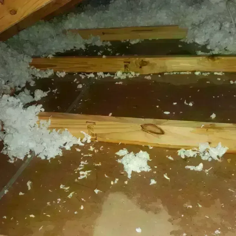 Attic Water Damage in Smith Center, KS